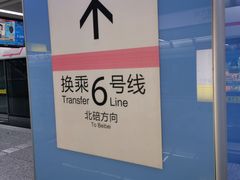 -大龙山(地铁站)