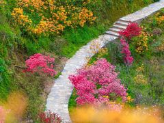 -婺源风景区