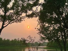 -东郊湿地公园