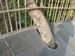-福道