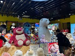 -上海浦东国际机场-T2航站楼
