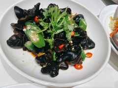 爽口木耳-晋家门(文峰广场店)