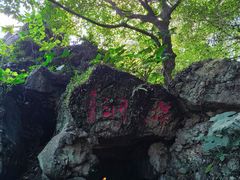 -海口火山口国家地质公园