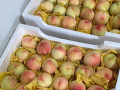 -南汇新场正宗水蜜桃采摘