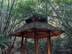 -广州市白云山风景名胜区