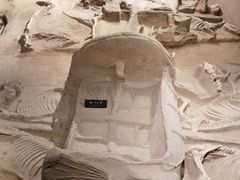 -洛阳周王城天子驾六博物馆