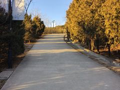 -府君山公园