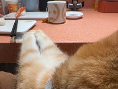 -元气寿司(金光华店)