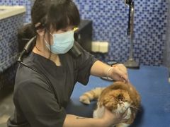 -瑞鹏宠物医院·内科·中兽医·骨科(苗圃店)