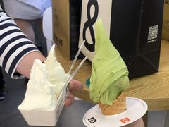 -野人先生Gelato(上海长宁龙之梦店)