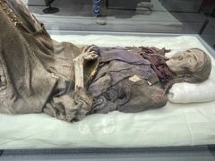 -巴音郭楞蒙古自治州博物馆