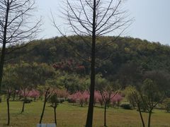 -南京市无想山景区