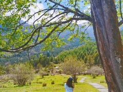 -硗碛藏寨·神木垒景区