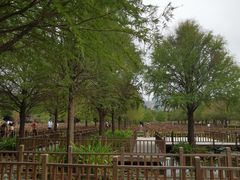 -五缘湾湿地公园
