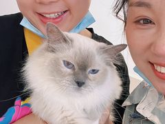 -怪兽屋·羊驼·猫咖·狗咖(俊华广场店)