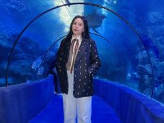 -左海海底世界