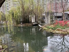 -大宁公园
