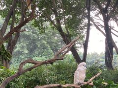 -广州长隆飞鸟乐园