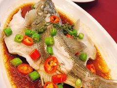 -湛江菜.江南首席(昆山店)
