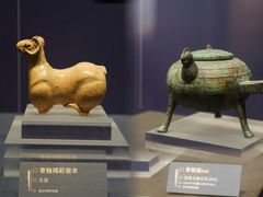 -温州博物馆