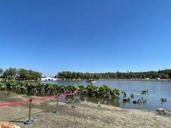 -长春市南湖公园