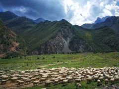 -扁都口生态休闲旅游区