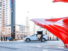 -TESLA 特斯拉(郑州正弘城体验店)