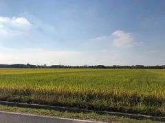 -嘉北郊野公园