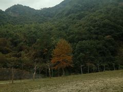 -宁波五龙潭景区