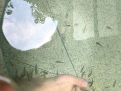 -天赐温泉