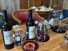 -松赞拉萨林卡酒店