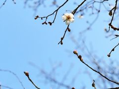 -石湖景区