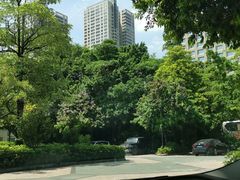 -广州中心皇冠假日酒店·汇点大堂吧