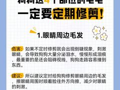-守诺宠物医院·眼科· 特色牙科·异宠专科(虹口店)