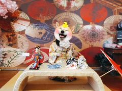 -豆柴町-柴犬主题狗咖(红鼎国际C座店)