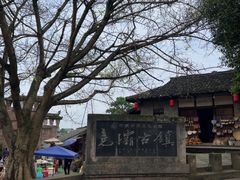 -尧坝古镇