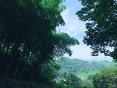 -隐居西湖隐天竺