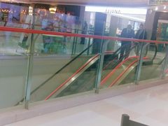 -高新活力汇Vitality