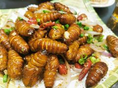 蚕蛹-健眺小海鲜(临海后山店)