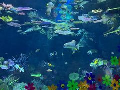 -暹罗海洋世界