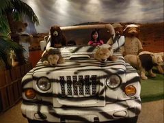 景点-济州岛泰迪熊博物馆