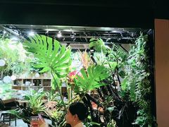 -森味薪火烧•烧鸟居酒屋•日本料理(望京店)