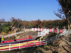 -武汉紫薇都市田园