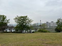 -金海湾滨江公园