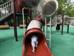 -苏州河梦清园环保主题公园