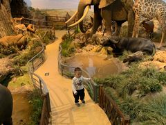 -陕西自然博物馆