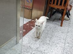 -蓝精灵饺子店