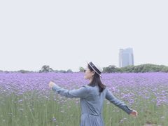-山明水秀大饭店