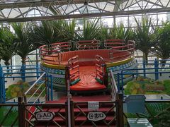 -南宫五洲植物乐园