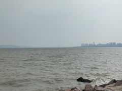 -深圳湾公园(南山区)